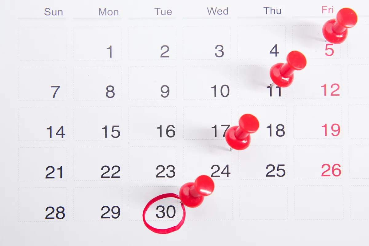 Stylist reviewing availability on a calendar